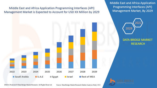 Middle East and Africa Application Programming Interfaces (API) Management Market.jpg