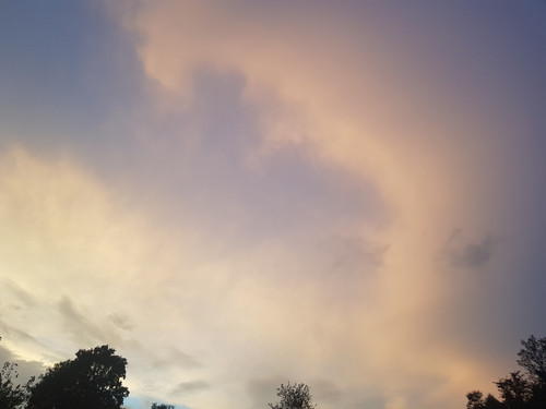 20220904 193921.jpg