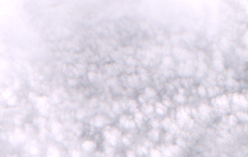 2022 03 19.png