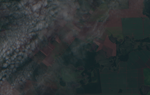2022 02 07.png