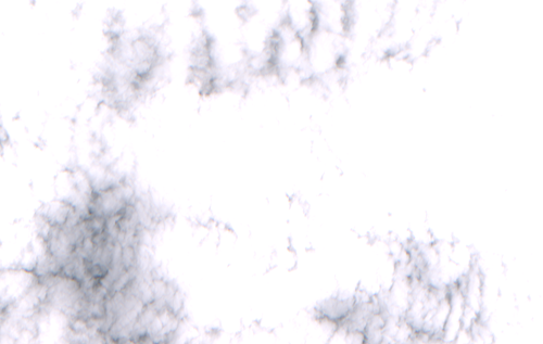 2022 01 28.png