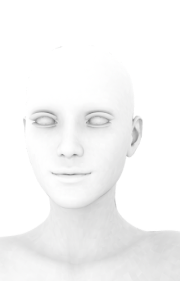 image 42.png