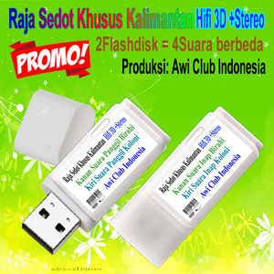 2flashdisk.jpg