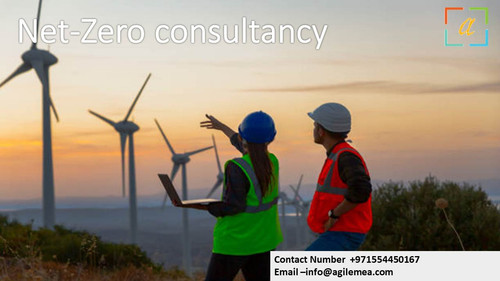 Net Zero Consultancy. 1 jpg.jpg