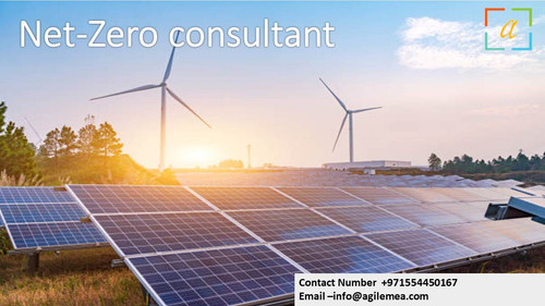 Net Zero consultant.1 jpg.jpg
