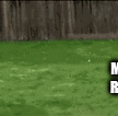 7ciu3h.gif