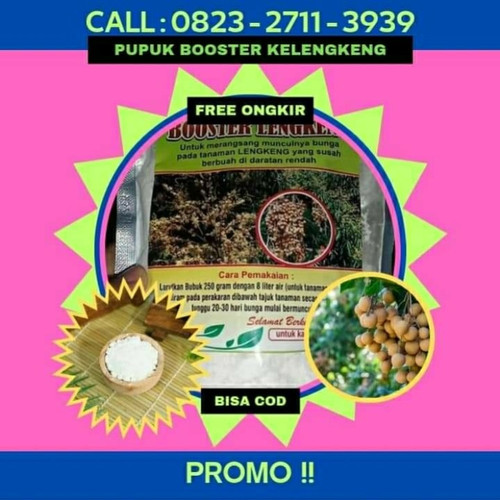 PROMO! CALL 0823-2711-3939 Jual Pupuk Untuk Kelengkeng Agar Cepat Berbuah.jpg