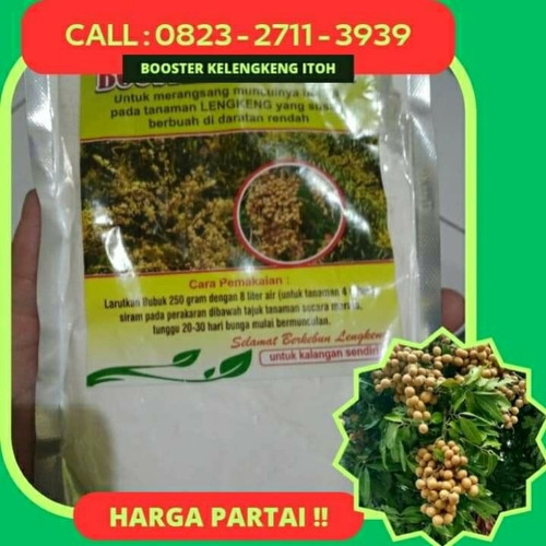 TANGAN PERTAMA! CALL 0823-2711-3939 Jual Pupuk Untuk Kelengkeng Itoh.jpg