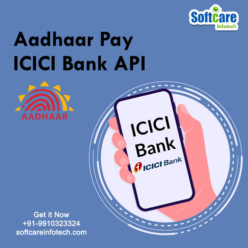 Best AEPS API Service Provider Company.jpg