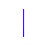 NEW YORK MID.gif