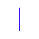 NEW YORK EVE.gif