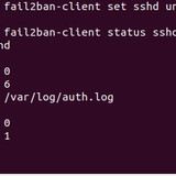 Screenshot2023 03 11 21 41 44 Ubuntu 22.04 Jammy Jellyfish [Running] Oracle VM VirtualBox