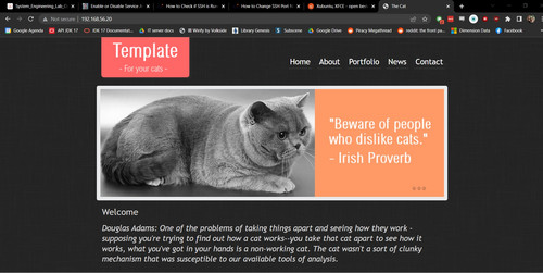 Screenshot2023 03 11 15 29 05 The Cat.jpg