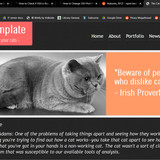 Screenshot2023 03 11 15 29 05 The Cat