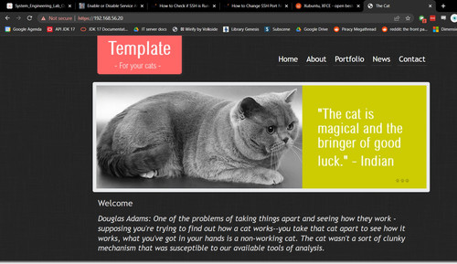 Screenshot2023 03 11 15 33 51 The Cat.jpg