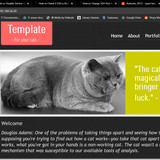 Screenshot2023 03 11 15 33 51 The Cat