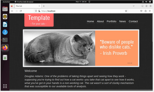Screenshot2023 03 11 15 34 33 Ubuntu 22.04 Jammy Jellyfish [Running] Oracle VM VirtualBox.jpg
