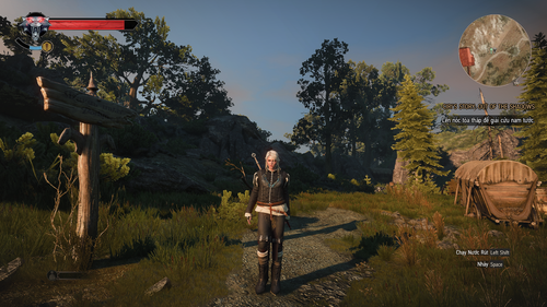 witcher3 2023 03 17 02 01 29.png