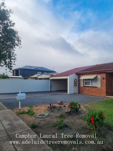 240461510 4018739748237007 5244218191328938736 n.jpg