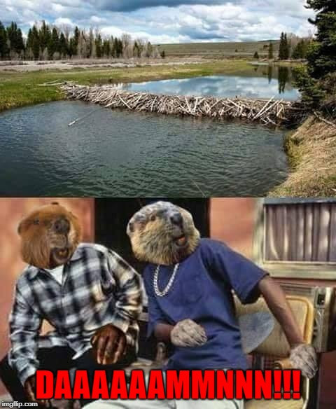 2jlvgv.jpg