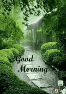 8T8gTtlWoFdjFJDCRzPhdWXwZGB.webp