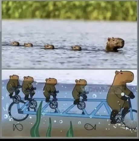 Fqzn2AcX0AQUBiO.jpg