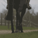 3f0a52c0c75e9a1026dd69eec19236df.gif