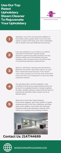 upholstery steam cleaner.jpg