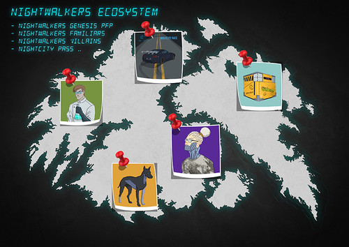 NW Ecosystem optimized.jpg