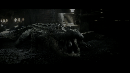 Crawl.2019.UHD.BluRay.2160p.DTS-HD.MA.7.1.DV.HEVC.REMUX-FraMeSToR.mkv_001293000.png