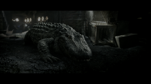 Crawl.2019.UHD.BluRay.2160p.DTS-HD.MA.7.1.DV.HEVC.REMUX-FraMeSToR.mkv_001292041.png