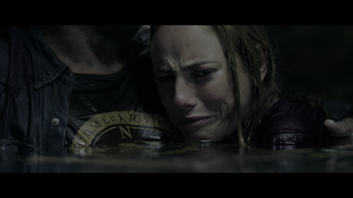 Crawl.2019.UHD.BluRay.2160p.DTS-HD.MA.7.1.DV.HEVC.REMUX-FraMeSToR.mkv_003049505.png