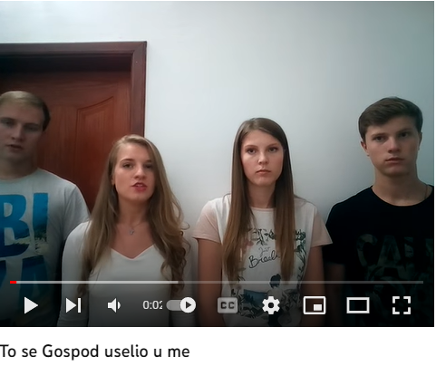 pavlovici.png