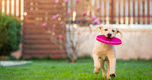 gettyimages 558410737.png