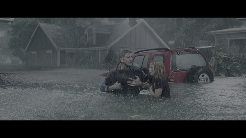 Crawl.2019.UHD.BluRay.2160p.DTS-HD.MA.7.1.DV.HEVC.REMUX-FraMeSToR.mkv_004102599.png