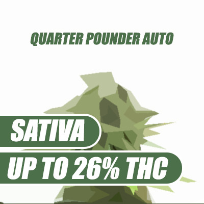 Quarter Pounder Autoflower Seeds.jpg