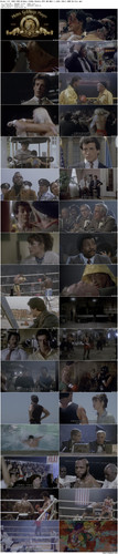 Rocky.III.1982.UHD.BluRay.2160p.2Audio.DTS HD.MA5.1.x265.10bit.HDR BeiTai preview.jpg