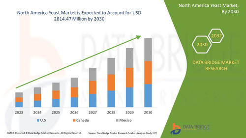 North America Yeast Market.jpg