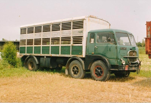 1991.06 in der Umgebung von Portoquaro und Caorle VE 5 