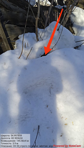 IMG 20230315 165317.jpg