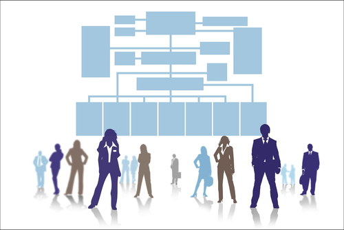 Org Chart.png