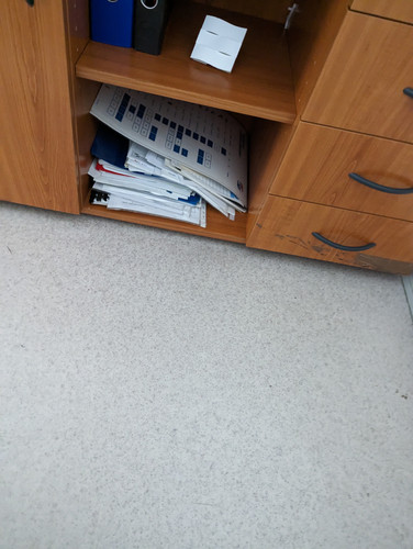 PXL 20230313 124546551.jpg