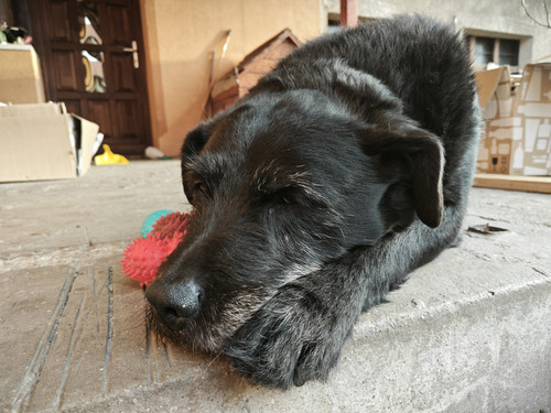 IMG 20230313 170305.jpg