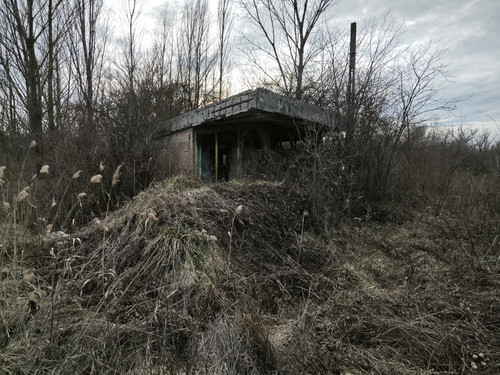 IMG 20230313 165137.jpg