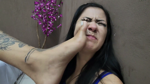Snapshot 2.png