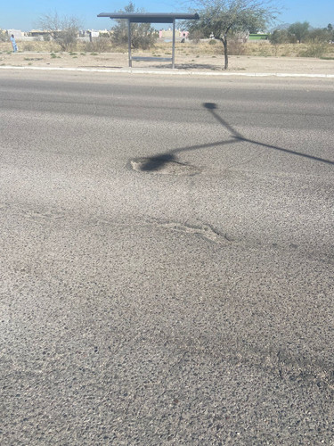 BACHE 120.jpg