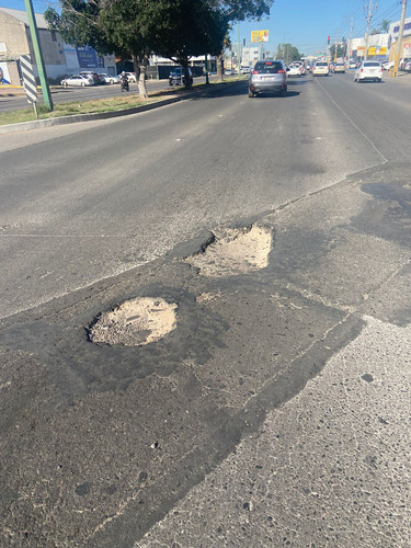 BACHE 115.jpg