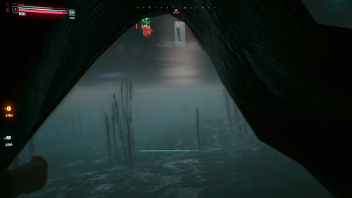 swim.png