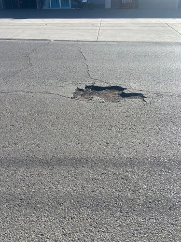 BACHE 113.jpg