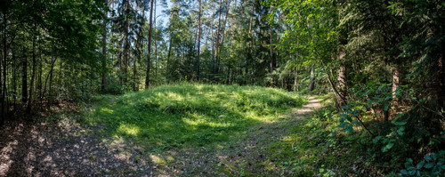 28151e166f10.jpg